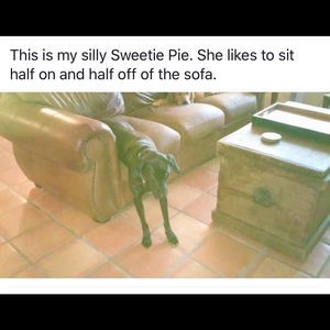 Meet your Posher, Brenda